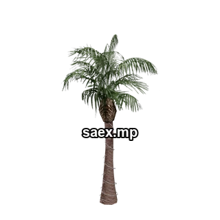 Object preview · VgsN_nitree_g01