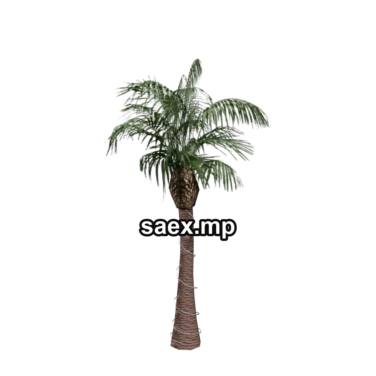 Object preview · VgsN_nitree_g01