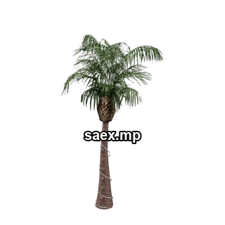 Object preview · VgsN_nitree_g02