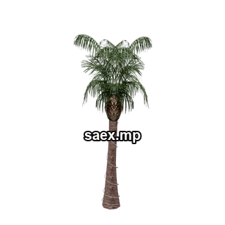 Object preview · VgsN_nitree_r01