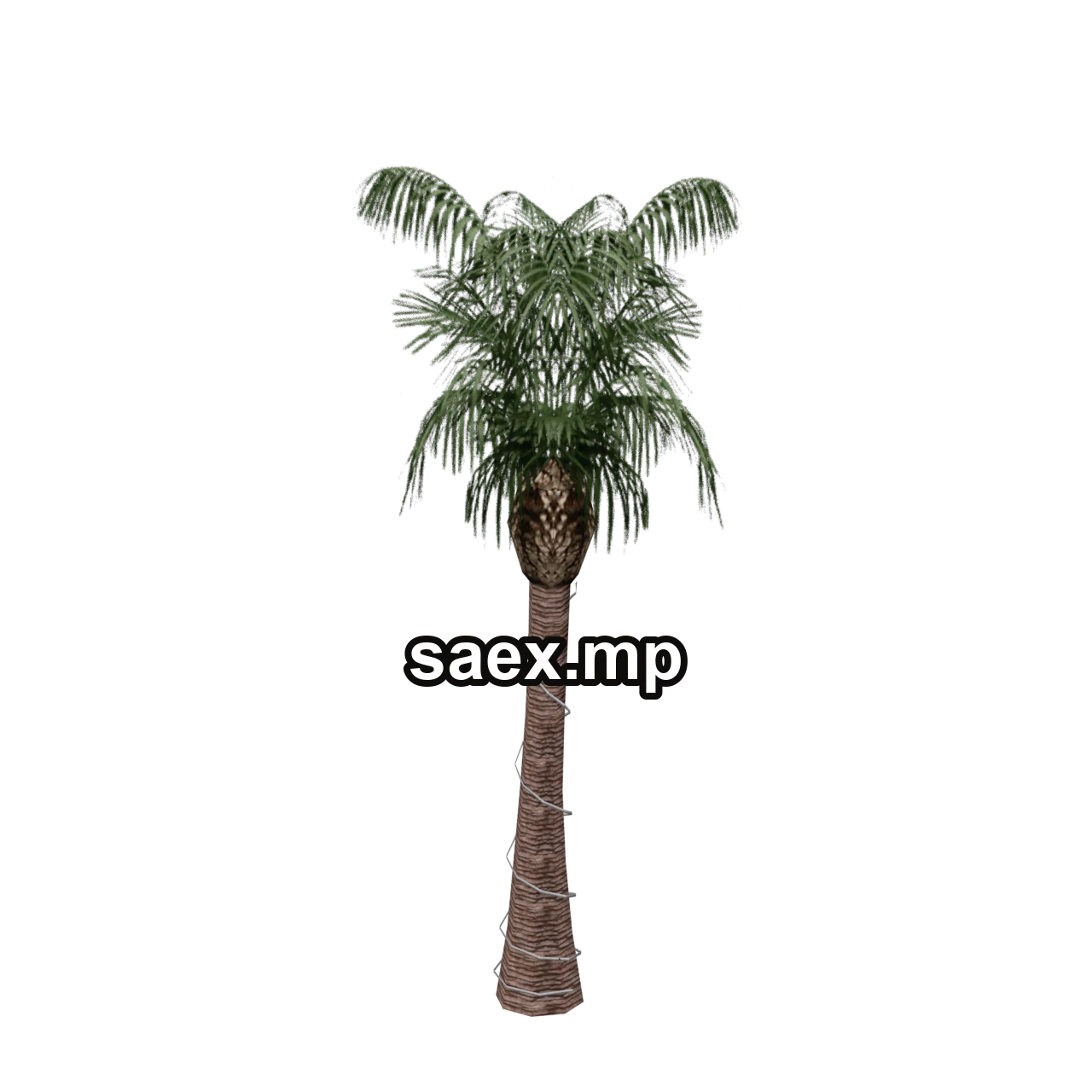 Object preview · VgsN_nitree_r01