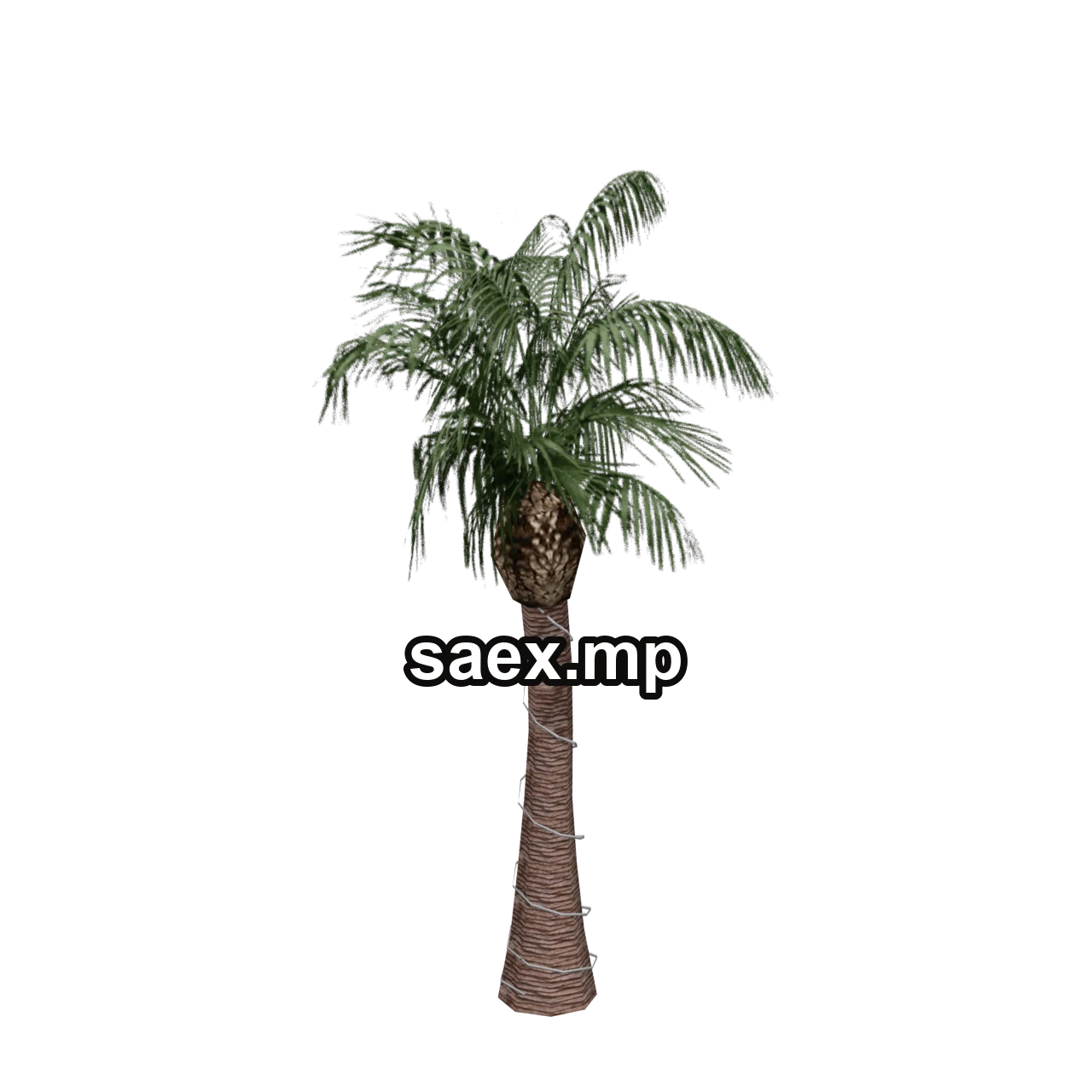 Object preview · VgsN_nitree_b01