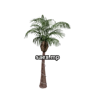 Object preview · VgsN_nitree_b02