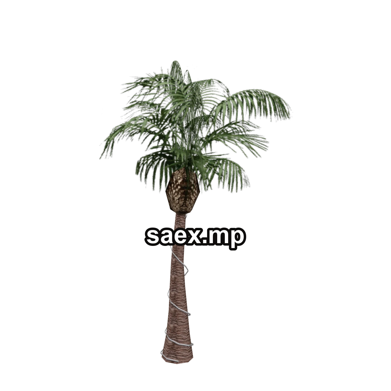 Object preview · VgsN_nitree_b02