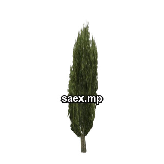 Object preview · ceasertree02_lvs