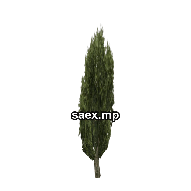 ceasertree02_lvs önizlemesi, model 3517