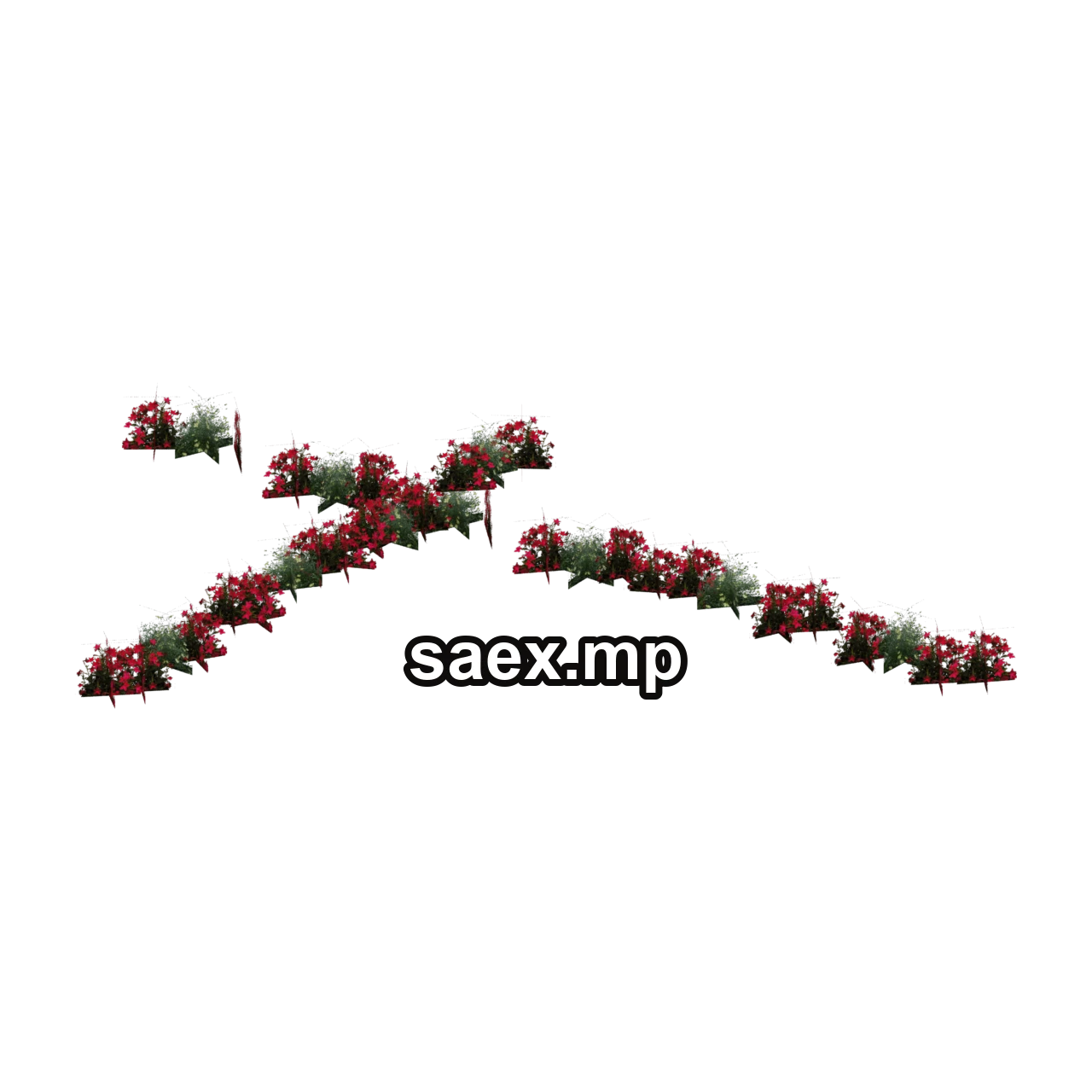 Object preview · plants01