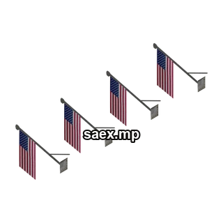 Object preview · vegasflag03