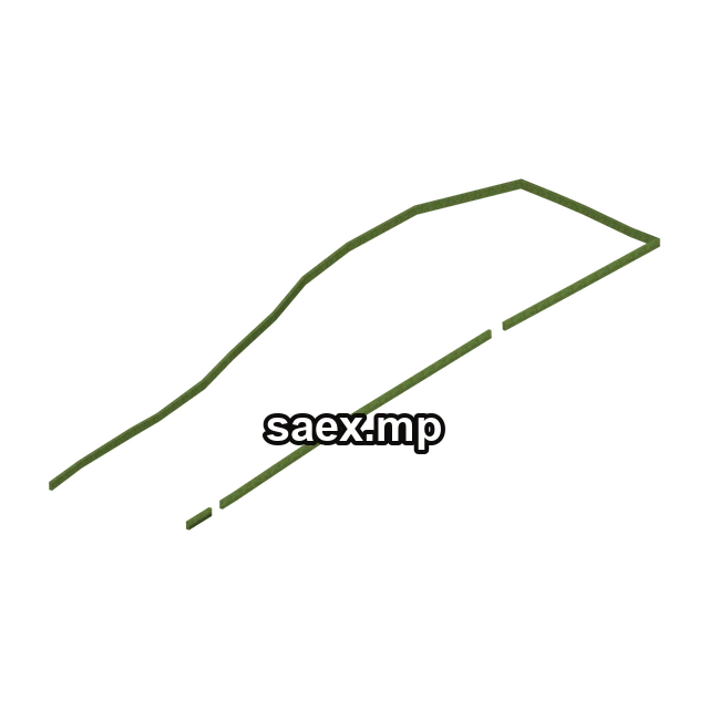 Preview of SFN_pres_hedge9, model 9350