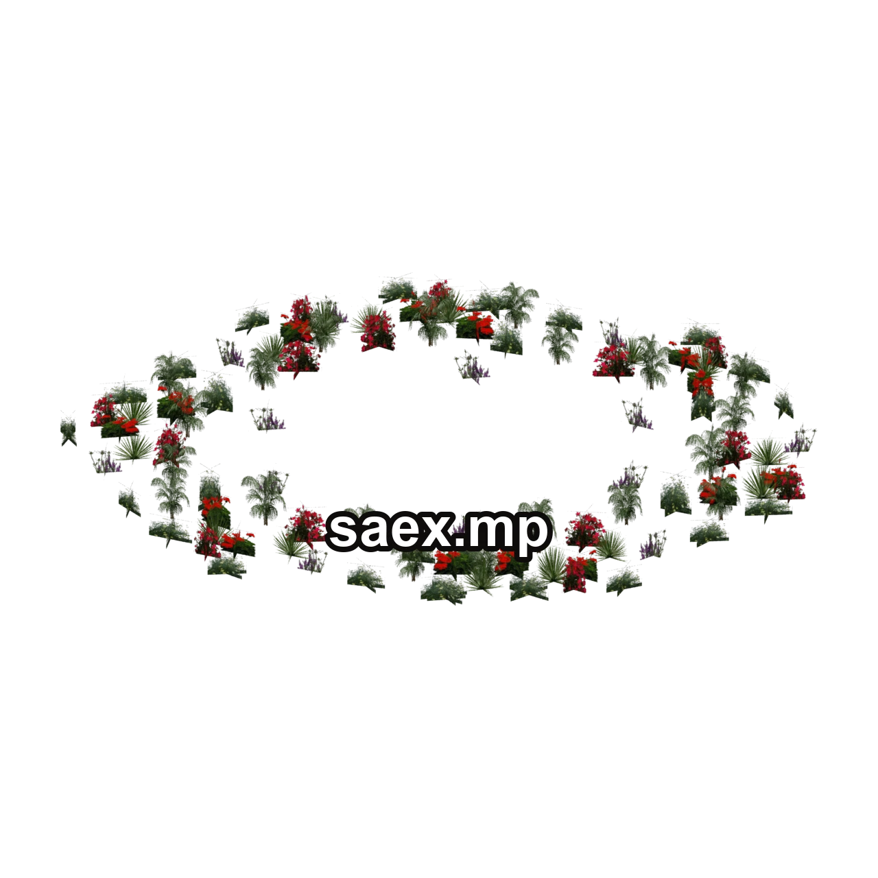 Object preview · fosterflowers1