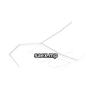 Object preview · swt_teline_01