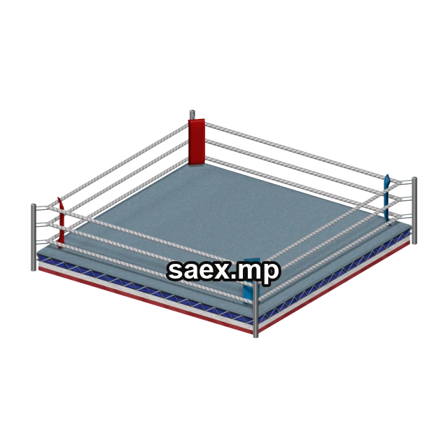 Preview of in_bxing04, model 14780