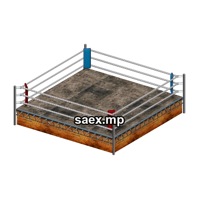 Preview of a_vgsGymBoxa, model 14791