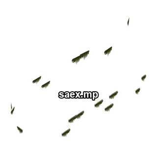 Object preview · ebeach_veg