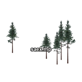 Obje önizlemesi · cw2_mntfir05