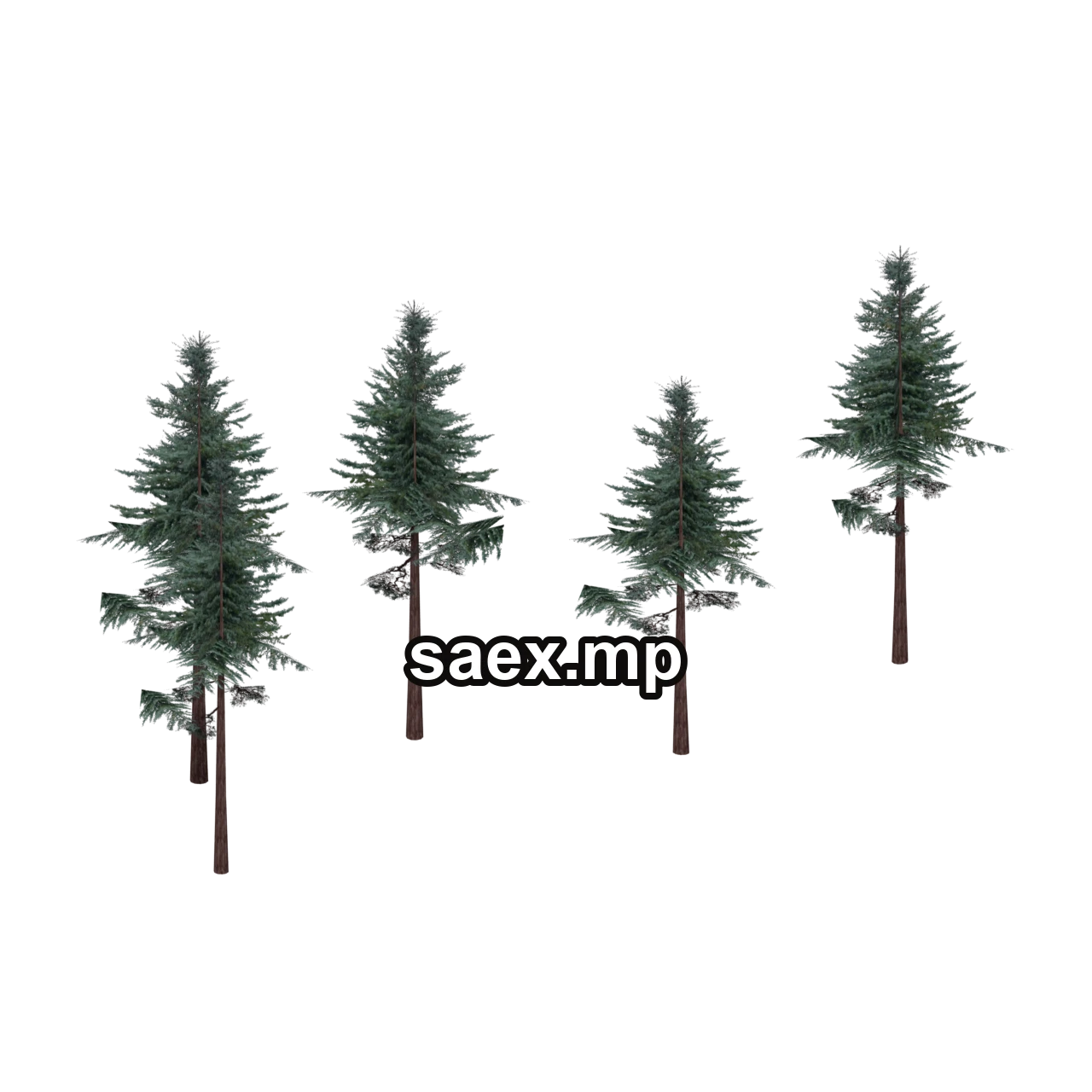 Object preview · cw2_mntfir13