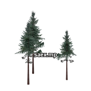 Obje önizlemesi · cw2_mntfir16