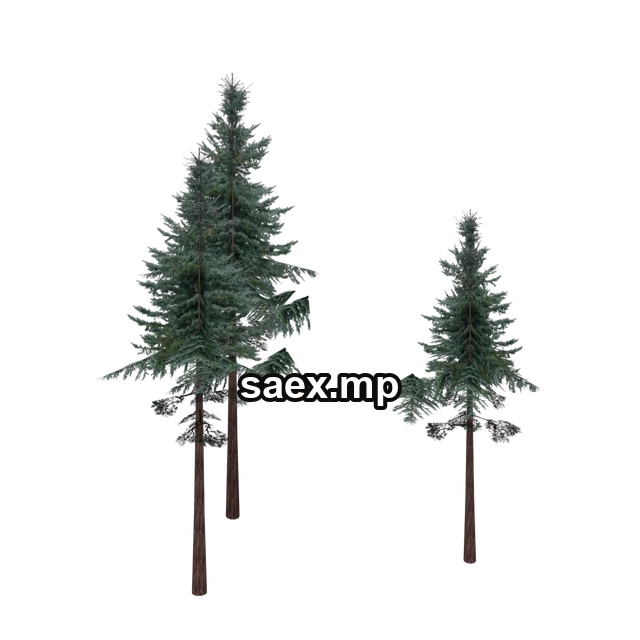 cw2_mntfir16 önizlemesi, model 18271