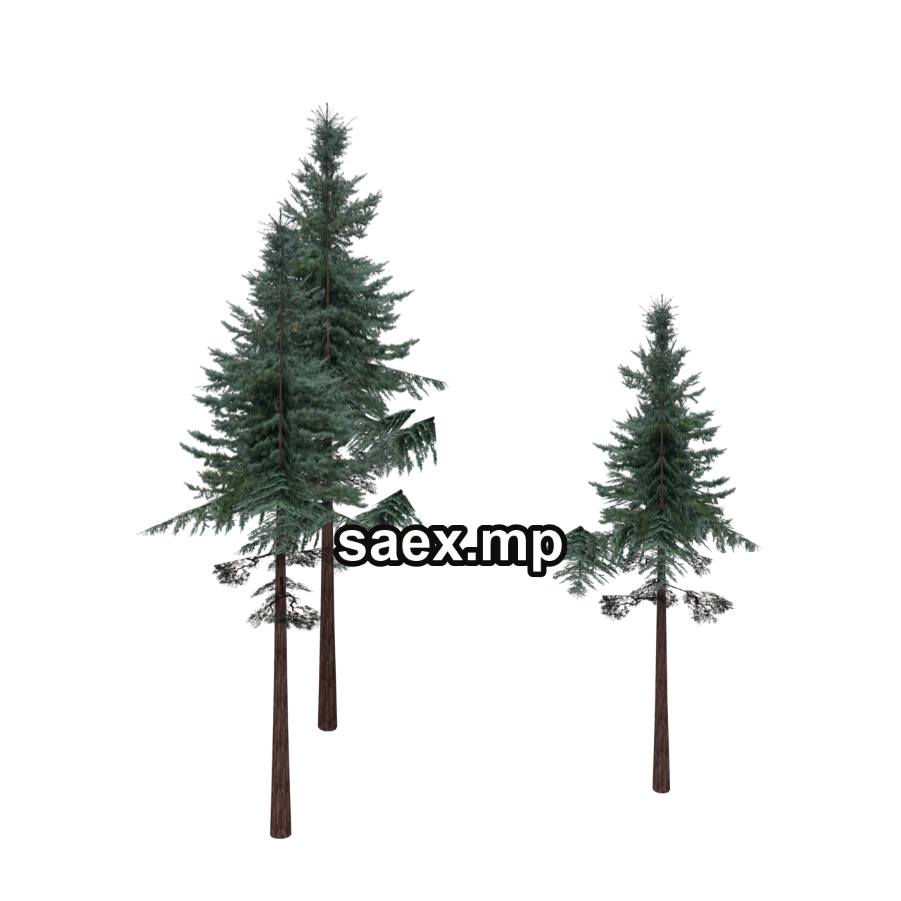 Obje önizlemesi · cw2_mntfir16