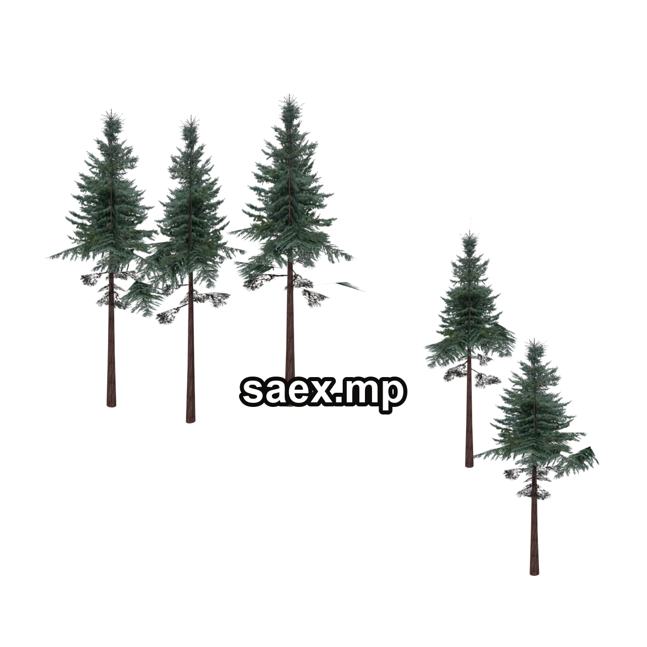 Obje önizlemesi · cw2_mntfir27