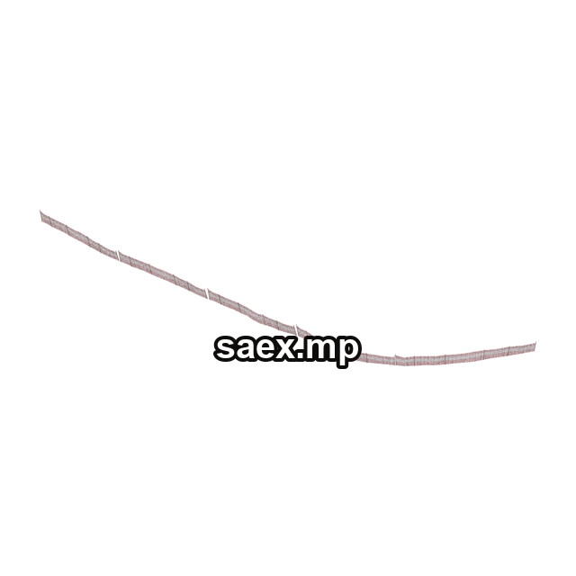 Preview of mtbfence40, model 18445