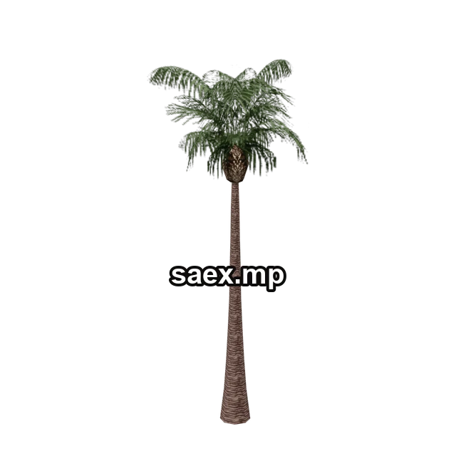 Preview of vgs_palm01, model 710