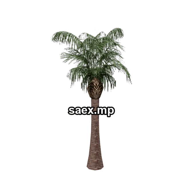 Preview of vgs_palm03, model 712