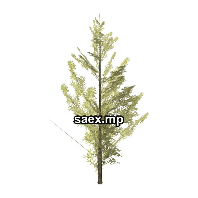 Preview of tree_hipoly10, model 732