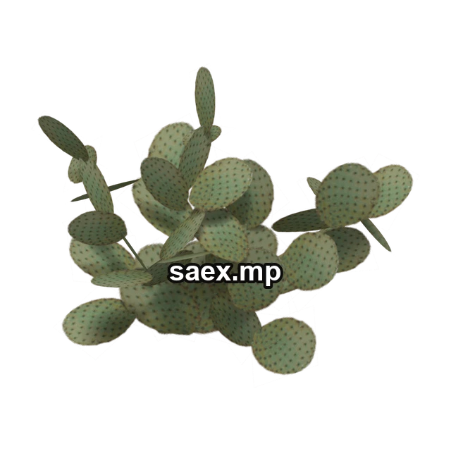 Preview of sm_des_pcklypr3, model 755