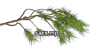 pinebranch2