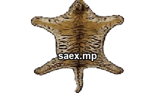 mpman_tigr_rug